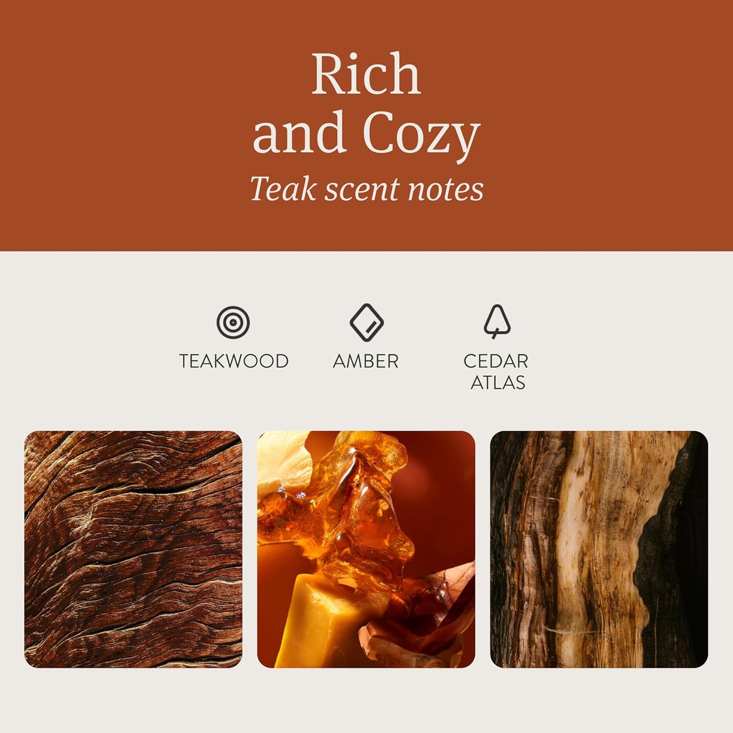 Original Wood Car Air Freshener - Long Lasting Teak Scent - Odor Eliminator with Essential Oils - Stylish Metal Clip - Clean Ingredients - Starter Kit for Auto Accessories