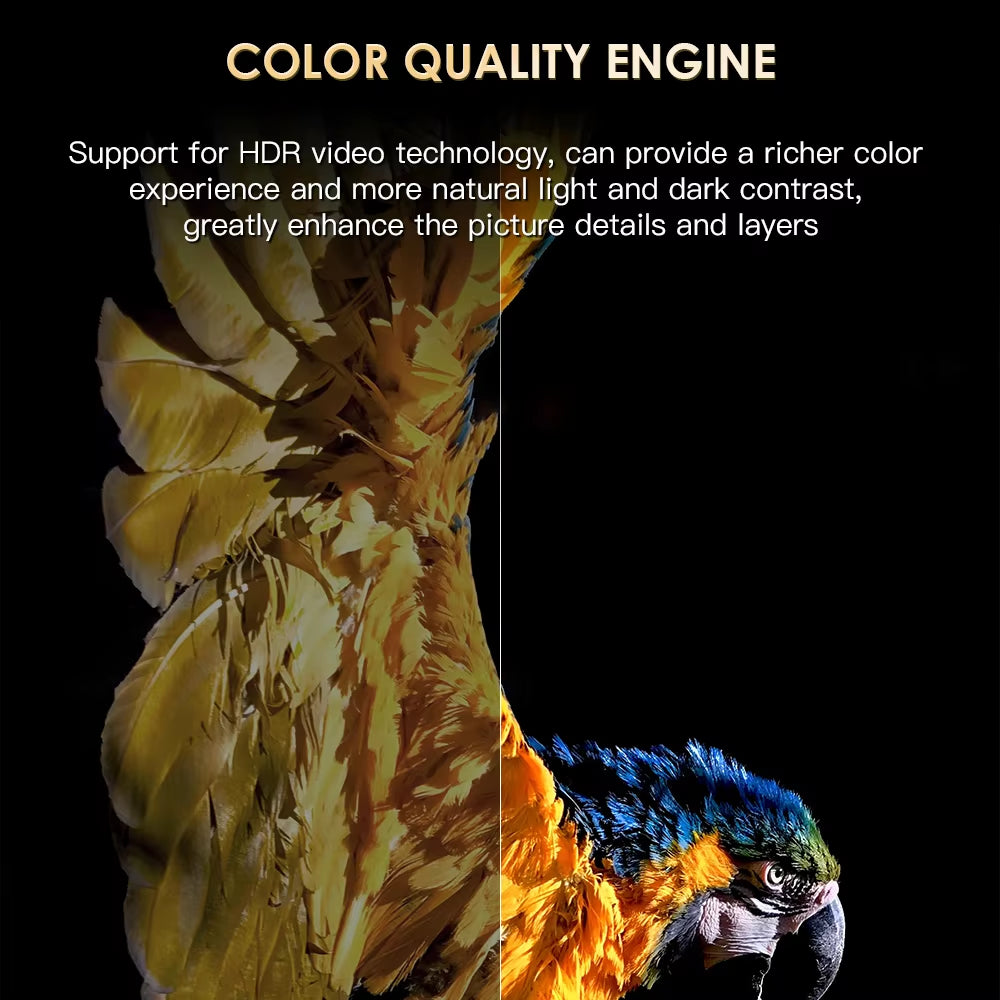 H20PRO Android TV Box - Android 10.0, 2GB RAM, 16GB Storage, Dual Band Wi-Fi, 4K Media Player, Supports 1080P Streaming, Access to Android Play Store