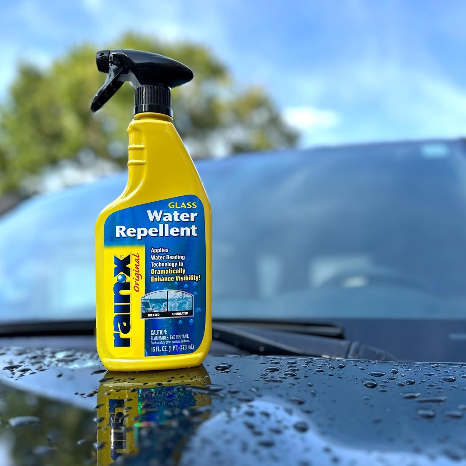 800002250 Glass Treatment Trigger - 16 Fl Oz for Enhanced Visibility in Wet Weather Conditions