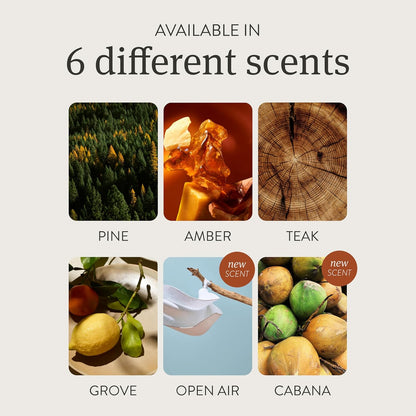 Original Wood Car Air Freshener - Long Lasting Essential Oil Odor Eliminator - Variety 3 Pack Refill - Clean Ingredients - Metal Clip Not Included